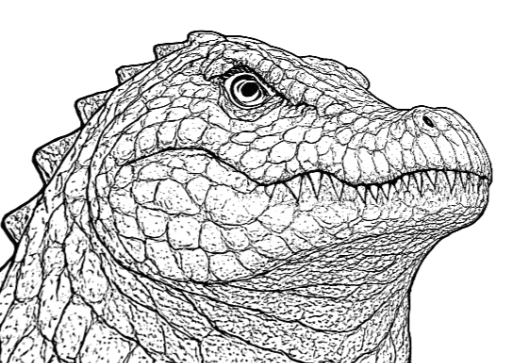 VLM – For Professionals